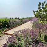 Jilla Villa Calosso