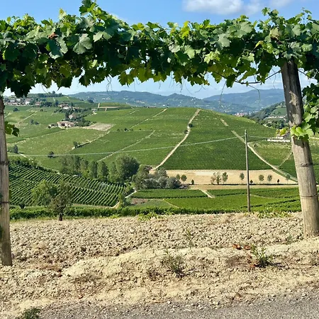 Jilla Калоссо