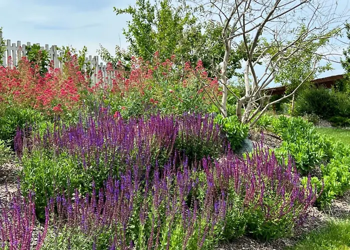 Вилла Jilla Калоссо