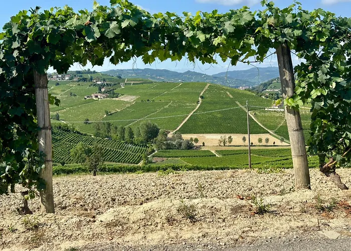 Jilla Калоссо